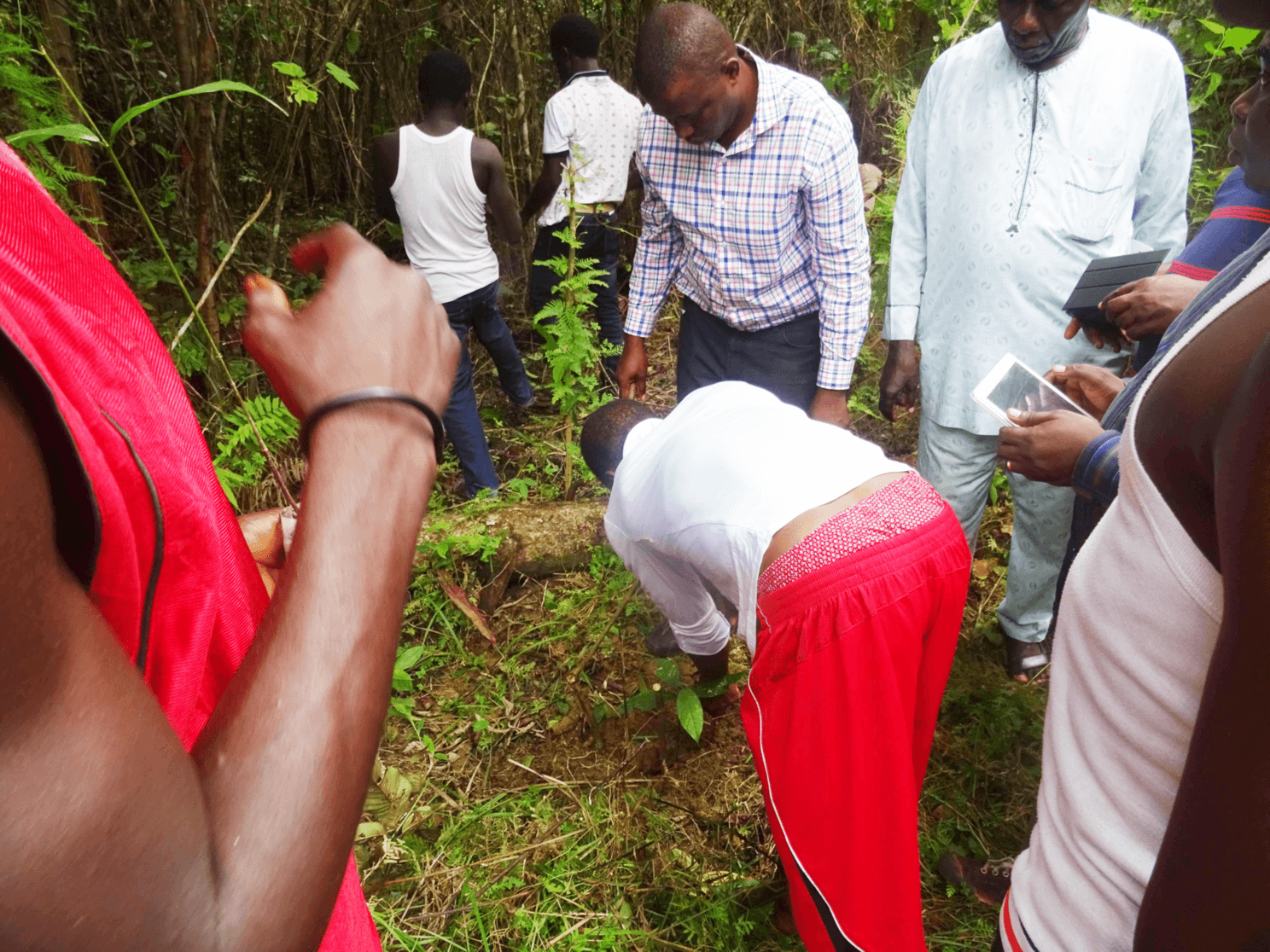 EcoFDI field team conducting biodiversity assessment and tree planting activity with community members in the Niger Delta forest